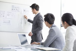 电子商务专业工作经历小白