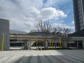 江宁大学城电子商务专业