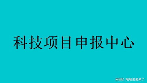 电子商务专业申报可行性